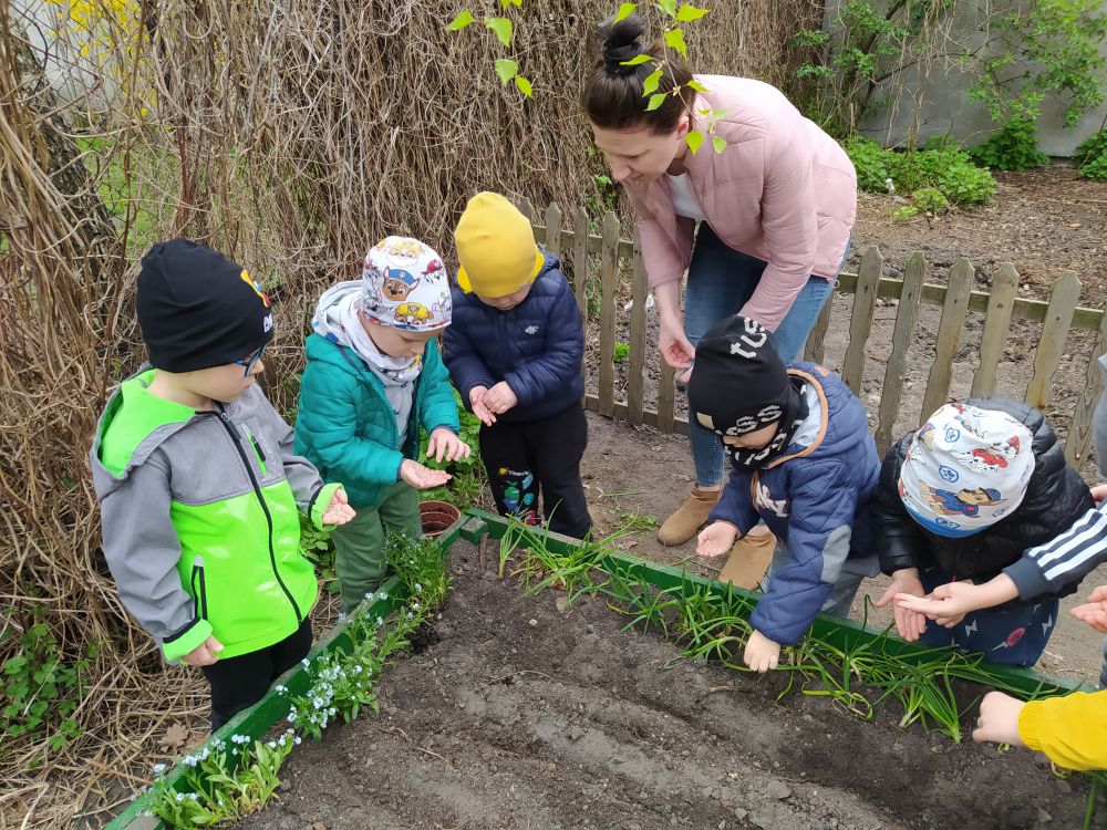 Przedszkolny mini-ogródek